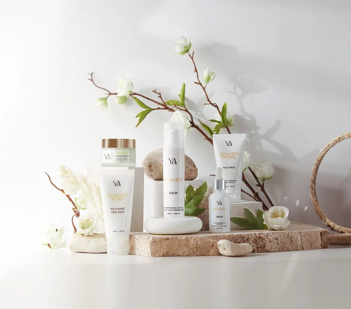 Les Secrets de l’Huile d’Argan :