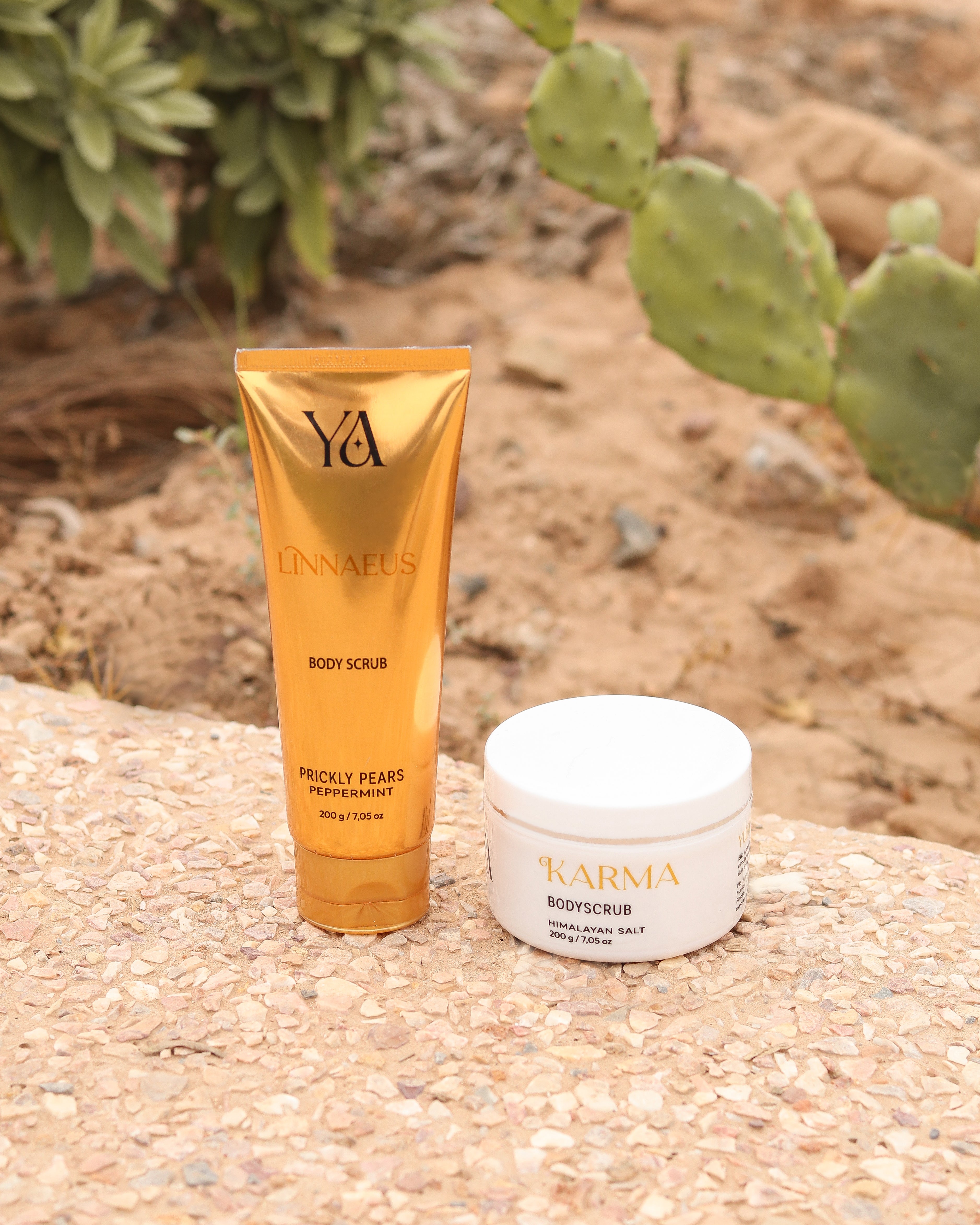 مجموعة العناية بالبشرة المضيئة من التين الشوكي المغربي وملح الهيمالايا