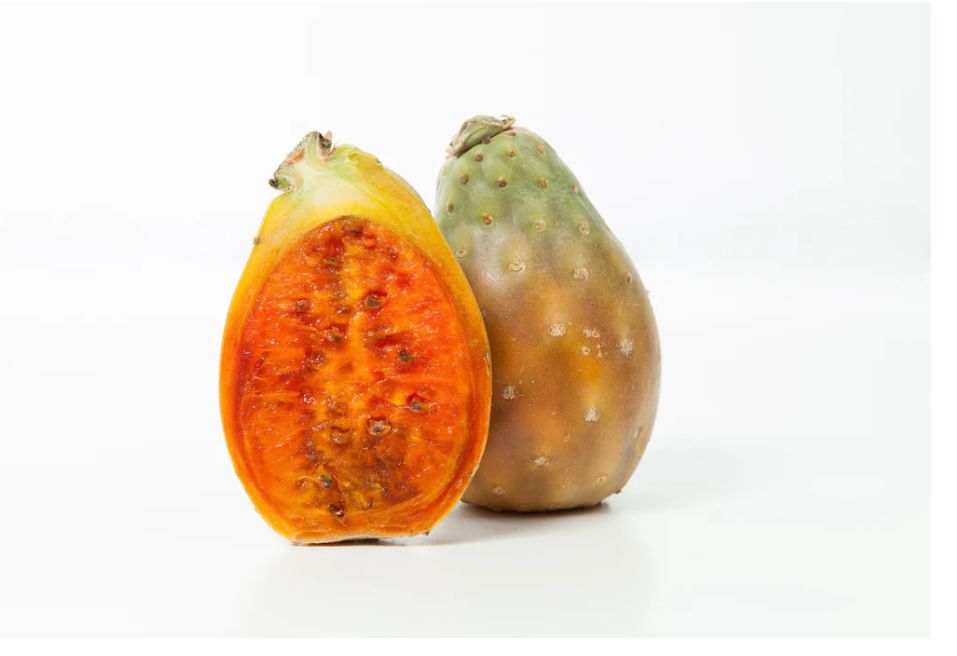 Prickly Pears Seed oil